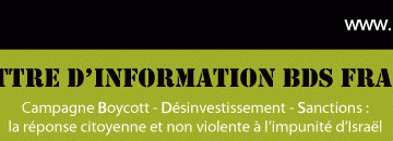 Bandeau_en-tete_newsletter_BDS_France