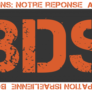 Logo BDS France